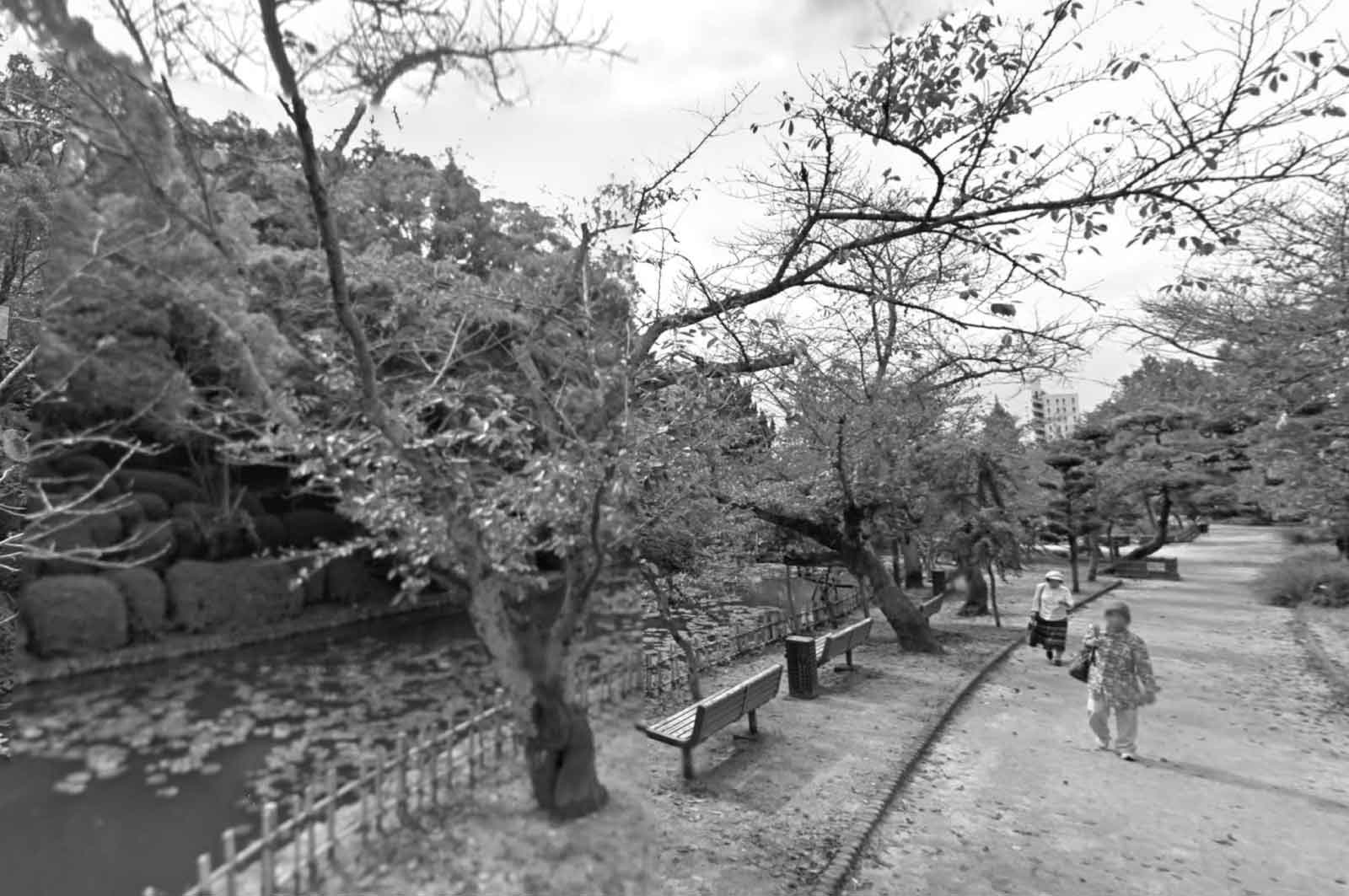 道後公園