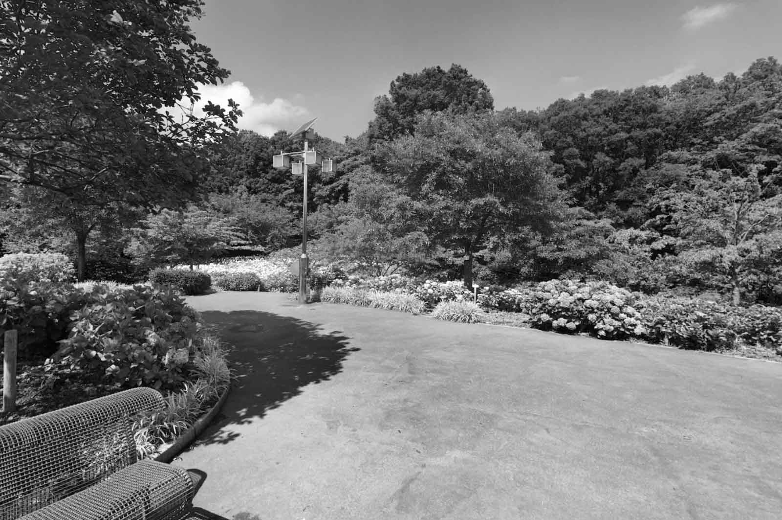 相模原北公園