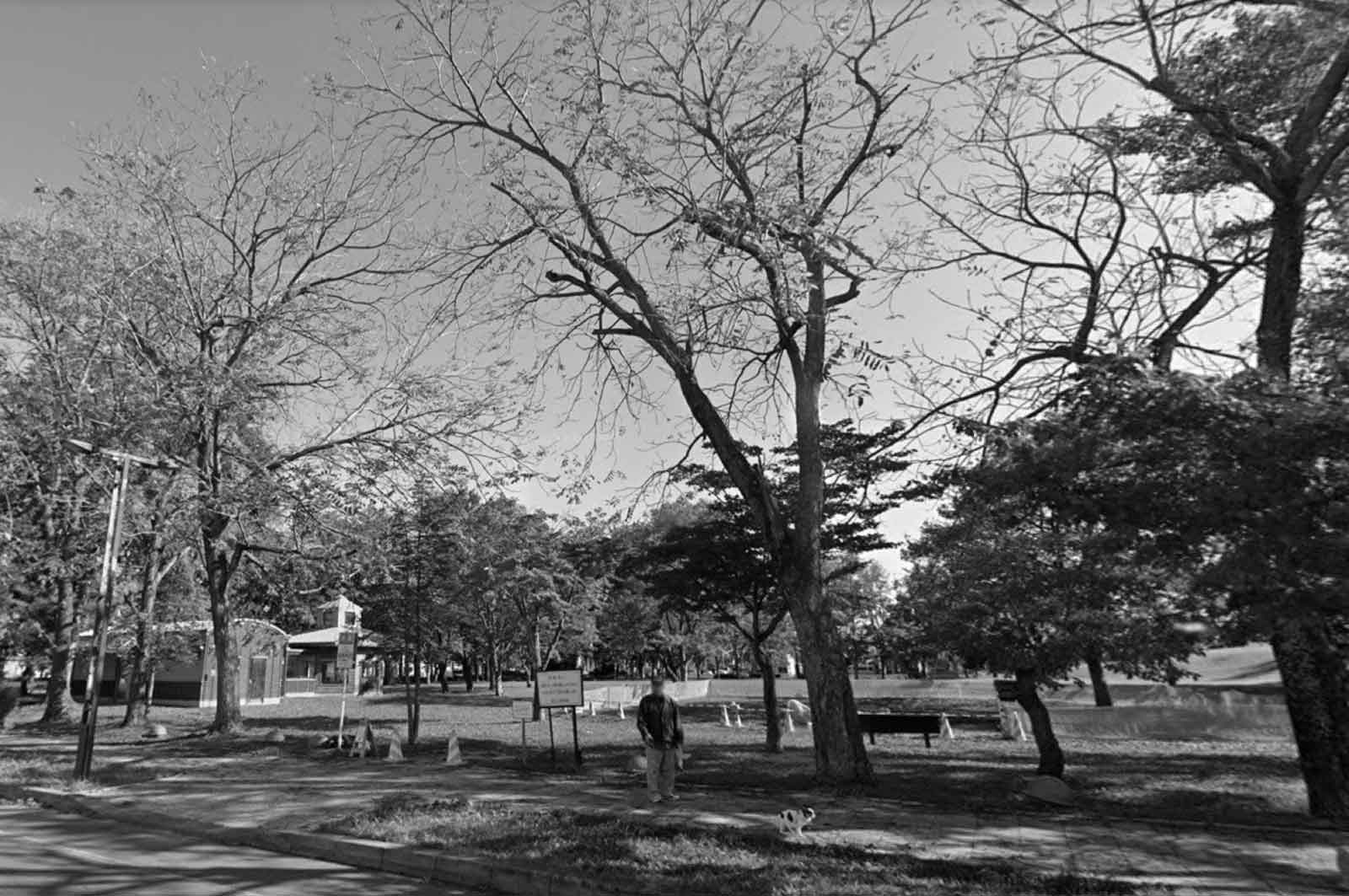 大通公園