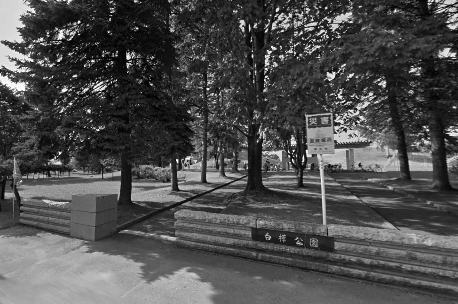 白樺公園